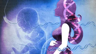 Y Chromosome Shrinking: Are Men Going To Extinct From Earth? What This Latest Research Suggests